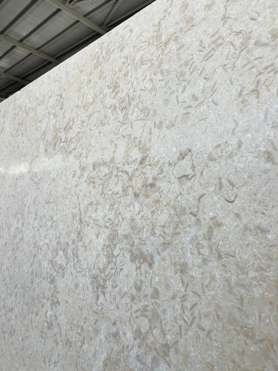 16ed6618-a4a8-43b9-9ddc-4e7ce3b92fe0