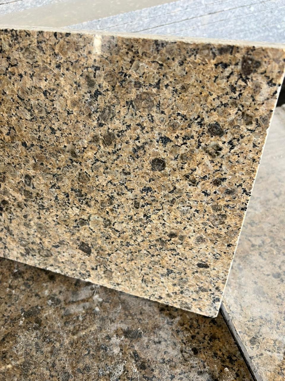 f04e5f55-d08e-4d85-b835-1ab9afeb8213